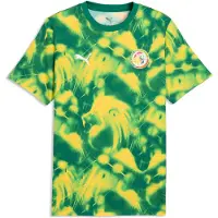 Puma Senegal ftblCulture Printed Tee Men, Performance, Wild Green/Pelé Yellow, M
