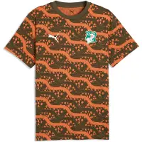 Puma Côte d'Ivoire ftblCulture Printed Tee Men, Performance, Loden Green/Melon Glow, M