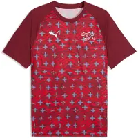 Puma Switzerland Warmup Jersey Men, Football, Regal Red/White, M