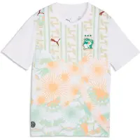 Puma Côte d'Ivoire 2026 Away Jersey Youth, Performance, White/Warm Chestnut, 15-16Y