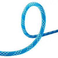 Edelrid Prostatic Synctec 11.0 Mm Tau