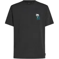 O'Neill Hybrid Polygiene Graphic Kortarmet T-skjorte