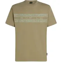O'Neill Flower Stripe Kortarmet T-skjorte