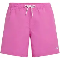 O'Neill Vert 16'' Boardshorts