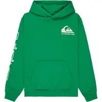 Quiksilver Omni Logo Kids Hettegenser grønn