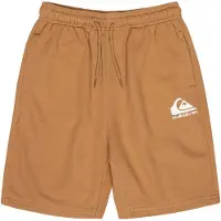 Quiksilver Easy Day Youth Sports Shorts
