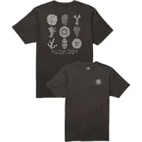 Salty Crew Coral Head Kortarmet T-skjorte