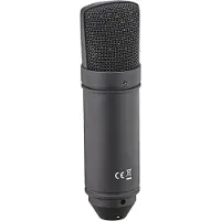 Tascam TM-80B Condenser Microphone Black