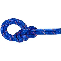 Mammut 9.5 Mm Crag Dry 40 M Tau