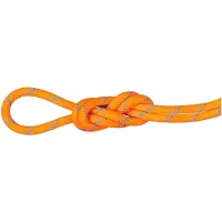 Mammut 8.7 Mm Alpine Sender Dry 70 M Tau