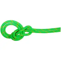 Mammut 9.5 Mm Crag Dry 40 M Tau