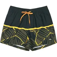 Quiksilver Everyday Poolsider 15 Boardshorts svart