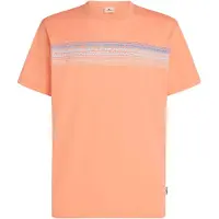 O'Neill Logo Stripe T-skjorte oransj