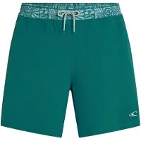 O'Neill Pocket Print 16" Boardshorts grønn