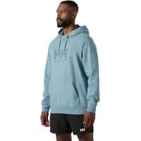 Helly Hansen Logo Hettegenser