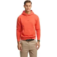 Superdry Micro Logo Hettegenser