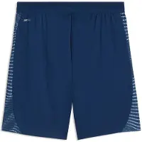 Puma Individualfinal Shorts