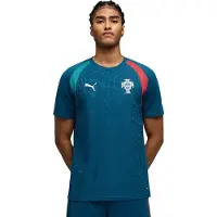 Puma Portugal Slim Training Jersey Men, Football, Ocean Tropic/Silver Mist, XXL
