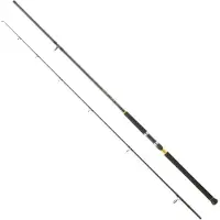 Daiwa Legalis Shore Jigging Stang