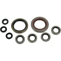 Moose Hard-parts Polaris Outlaw 525 Irs 822335mse Oljetetningssett