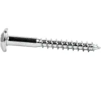 Cofan Sikkerhets-torx-skrue 7x70 Mm 100 Enheter