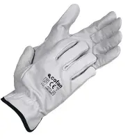 Cofan 11000091 Arbeidshansker 12 Enheter