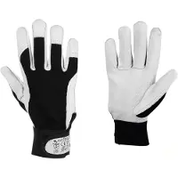 Cofan 11000075-blister Arbeidshansker 12 Enheter