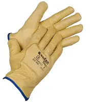 Cofan 11000077 Arbeidshansker 12 Enheter