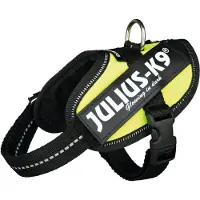 JULIUS K-9 Idc Baby Hundesele