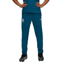 Puma Portugal Training Pants Youth, Football, Ocean Tropic/Silver Mist, 9-10Y