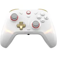 GameSir Cyclone 2 kontroller (hvit) (HRG1001)