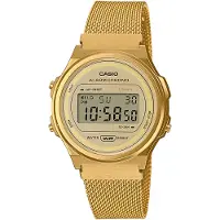 Casio A171wemg-9aef Dameklokke