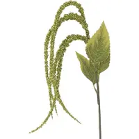 Bloomingville Foxtail