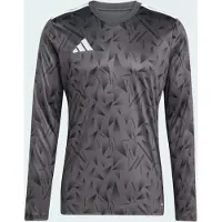 Adidas Team Icon 25 Langarmet T-skjorte