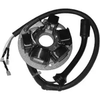 Sgr 6 Poles Vespa Pk Stator