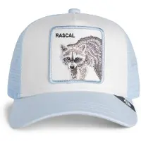 Goorin Bros Rascal Raccoon Mini Caps blå