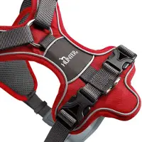 DOG SPORT Sele Divo, rød/grå - Størrelse M: 56-73 cm Brystomfang
