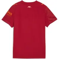Puma Valencia CF 25/26 Away Jersey Youth, Clothing, Dark Crimson/Dark Earth, 5-6Y