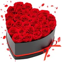 Vevor Forever Flowers, 27 konserverte roser i en hjerteformet eske, evige blomster udødelig bukett bursdagsgave til levering Prime Women hennes kone mødre, jubileum, valentinsdag, jul, rød