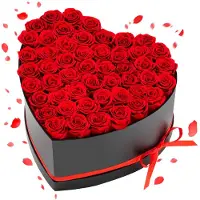 Vevor Forever Flowers, 50 konserverte roser i en hjerteformet eske, evige blomster udødelig bukett bursdagsgave til levering Prime Women hennes kone mødre, jubileum, valentinsdag, jul, rød