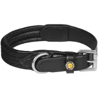 Equestro Web Hundehalsbånd