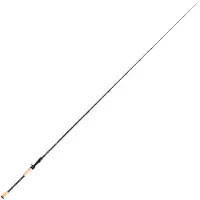 Hart Eternal Cast 72h Baitcastingstang