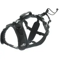 IDog Raidlight Hundesele