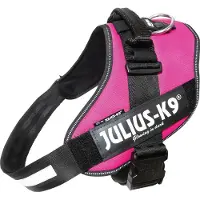 Julius-K9 Idc Power Hundesele