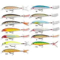 Rapala X-rap Suspending Minnow 13g 100 Mm