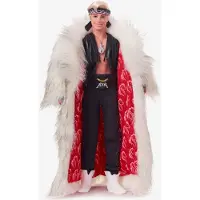 Barbie Ken-dukke