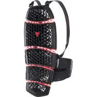 Dainese Pro-armor 2.0 Long Ryggbeskytter