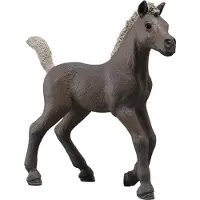 Schleich Horse Club - Darcy - Limited Edition - Serie 1 - 81460 - - OneSize - Lekedyr