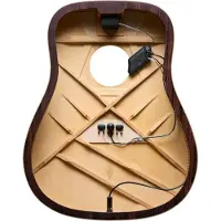 LR Baggs L.R Baggs HiFi Duet Hybrid Pickup and Microphone