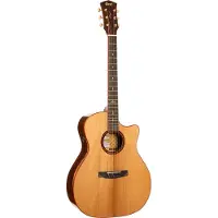 Cort Gold A10 Cocobolo Natural